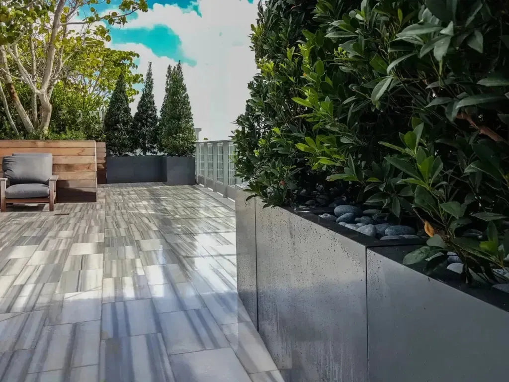 Jay Scotts Planters