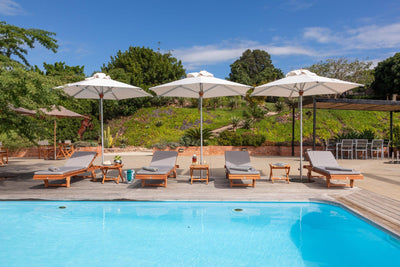 Bravura Center Pole Patio Umbrella (1.9" Pole Ø) - Woodline Shade Solutions-Patio Pelican